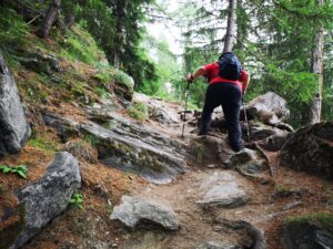 Wanderung zur Charles Kuonen Hängebrücke