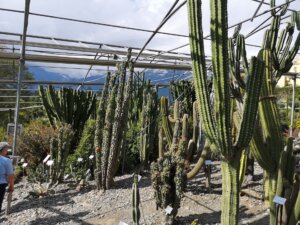 Meran und die Gärten von Schloss Trautmannsdorf