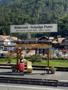 ausflug-schynige-platte