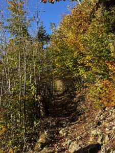 magglingen-nach-twannbachschlucht1